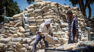 تحديثات مستمرة.. أسعار طن الأسمنت تسجل أرقاماً جديدة في الأسواق المحلية اليوم السبت